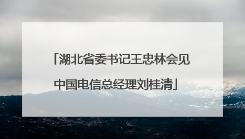 湖北省委书记王忠林会见中国电信总经理刘桂清