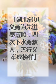 湖北省见义勇为先进秦遵照：四次下水勇救人，善行义举成榜样