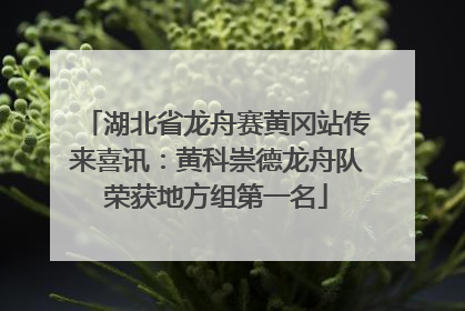 湖北省龙舟赛黄冈站传来喜讯：黄科崇德龙舟队荣获地方组第一名