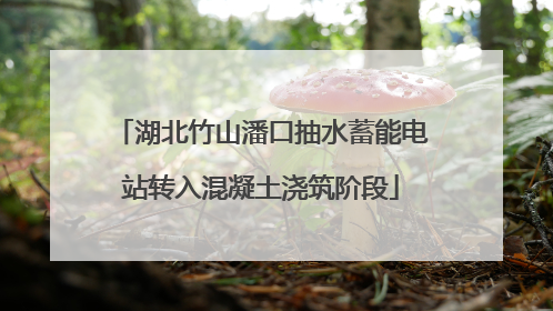 湖北竹山潘口抽水蓄能电站转入混凝土浇筑阶段