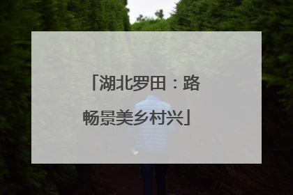 湖北罗田：路畅景美乡村兴