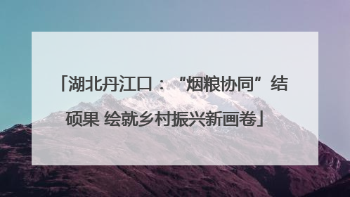 湖北丹江口：“烟粮协同”结硕果 绘就乡村振兴新画卷