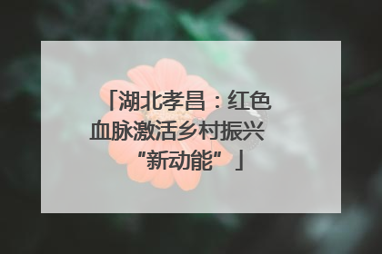 湖北孝昌：红色血脉激活乡村振兴“新动能”