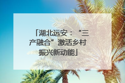 湖北远安：“三产融合”激活乡村振兴新动能