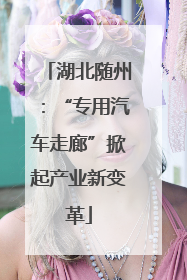 湖北随州：“专用汽车走廊”掀起产业新变革