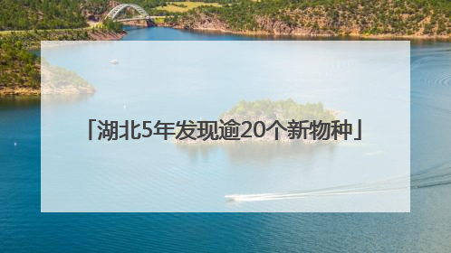 湖北5年发现逾20个新物种
