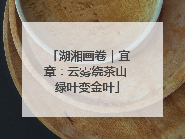 湖湘画卷｜宜章：云雾绕茶山 绿叶变金叶