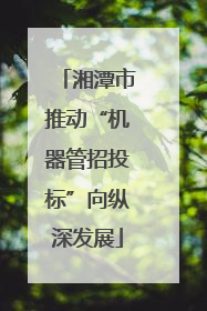 湘潭市推动“机器管招投标”向纵深发展