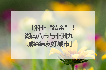 湘非“结亲”！湖南八市与非洲九城缔结友好城市