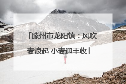 滕州市龙阳镇：风吹麦浪起 小麦迎丰收