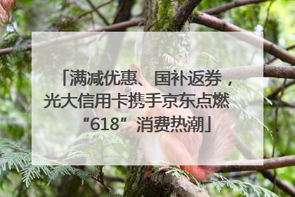 满减优惠、国补返券，光大信用卡携手京东点燃“618”消费热潮