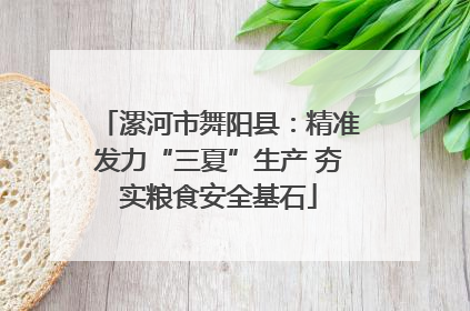漯河市舞阳县：精准发力“三夏”生产 夯实粮食安全基石