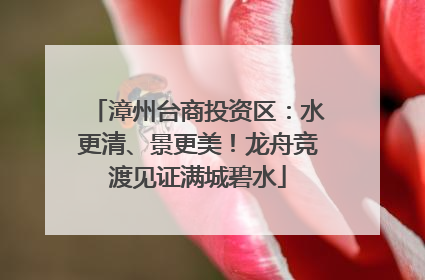 漳州台商投资区：水更清、景更美！龙舟竞渡见证满城碧水