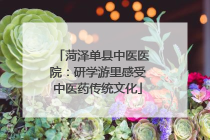 菏泽单县中医医院：研学游里感受中医药传统文化