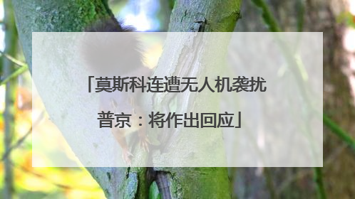 莫斯科连遭无人机袭扰 普京：将作出回应