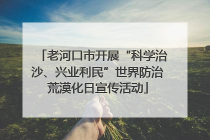 老河口市开展“科学治沙、兴业利民”世界防治荒漠化日宣传活动