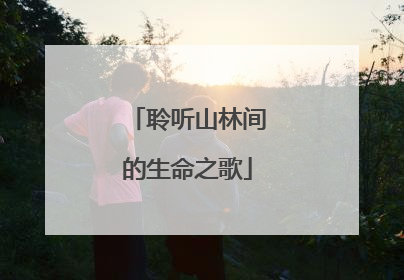 聆听山林间的生命之歌