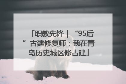 职教先锋｜“95后”古建修复师：我在青岛历史城区修古建