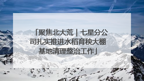 聚焦北大荒｜七星分公司扎实推进水稻育秧大棚基地清理整治工作