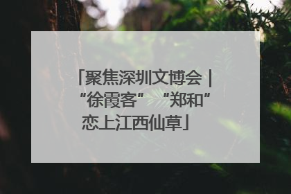 聚焦深圳文博会｜“徐霞客”“郑和”恋上江西仙草