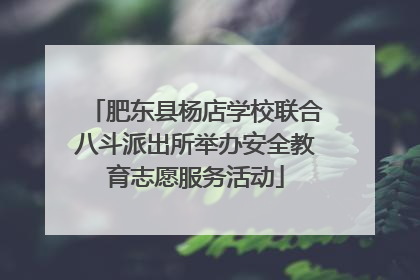 肥东县杨店学校联合八斗派出所举办安全教育志愿服务活动