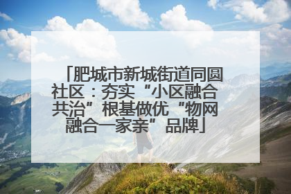 肥城市新城街道同圆社区：夯实“小区融合共治”根基做优“物网融合一家亲”品牌