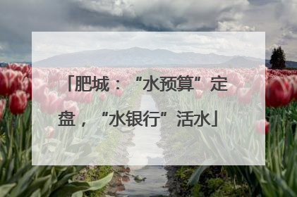 肥城：“水预算”定盘，“水银行”活水