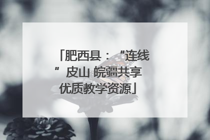 肥西县：“连线”皮山 皖疆共享优质教学资源