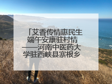 艾香传情惠民生 端午安康驻村情——河南中医药大学驻西峡县寨根乡桑树村工作队端午中医惠民记