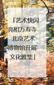 艺术快闪亮相万寿寺 北京艺术博物馆开展文化雅集