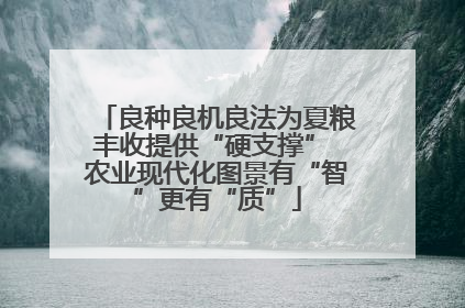 良种良机良法为夏粮丰收提供“硬支撑” 农业现代化图景有“智”更有“质”