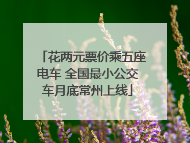 花两元票价乘五座电车 全国最小公交车月底常州上线