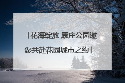 花海绽放 康庄公园邀您共赴花园城市之约