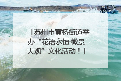 苏州市黄桥街道举办“花语永恒·微景大观”文化活动！