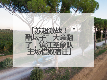 苏超激战！“醋坛子”大意翻了，镇江圣象队主场惜败宿迁