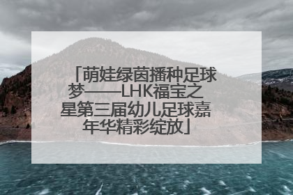 萌娃绿茵播种足球梦——LHK福宝之星第三届幼儿足球嘉年华精彩绽放