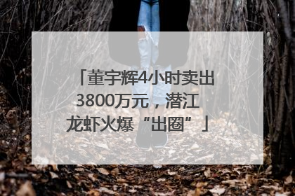 董宇辉4小时卖出3800万元，潜江龙虾火爆“出圈”