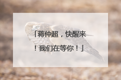 蒋仲超，快醒来！我们在等你！