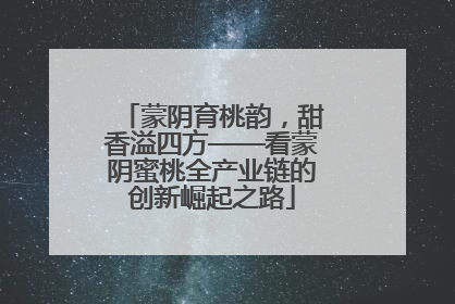 蒙阴育桃韵，甜香溢四方——看蒙阴蜜桃全产业链的创新崛起之路