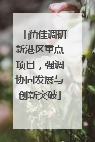 蔺佳调研新港区重点项目，强调协同发展与创新突破
