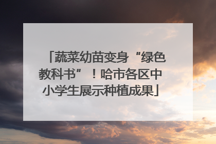 蔬菜幼苗变身“绿色教科书”！哈市各区中小学生展示种植成果