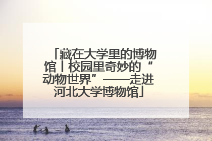 藏在大学里的博物馆丨校园里奇妙的“动物世界”——走进河北大学博物馆