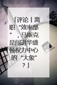 评论丨离职“效率部”，马斯克是闯进华盛顿权力中心的“大象”？
