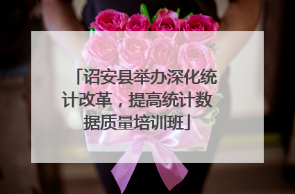 诏安县举办深化统计改革，提高统计数据质量培训班