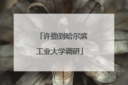 许勤到哈尔滨工业大学调研