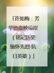 许如梅：芳华热血映琼崖（铭记历史 缅怀先烈·抗日英雄）