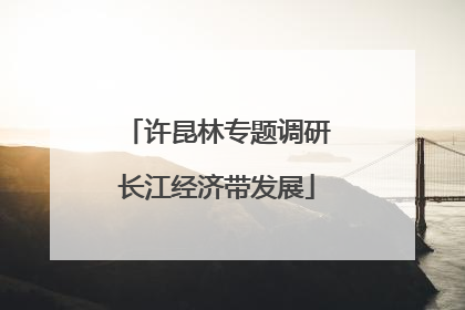 许昆林专题调研长江经济带发展