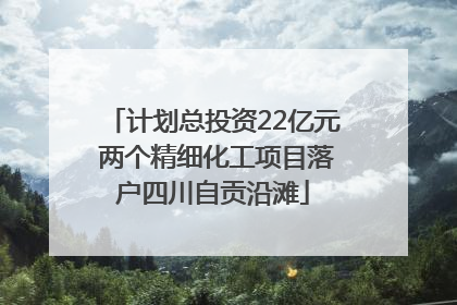 计划总投资22亿元 两个精细化工项目落户四川自贡沿滩