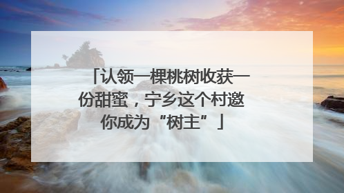 认领一棵桃树收获一份甜蜜，宁乡这个村邀你成为“树主”