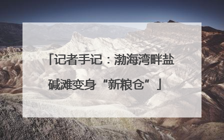 记者手记：渤海湾畔盐碱滩变身“新粮仓”